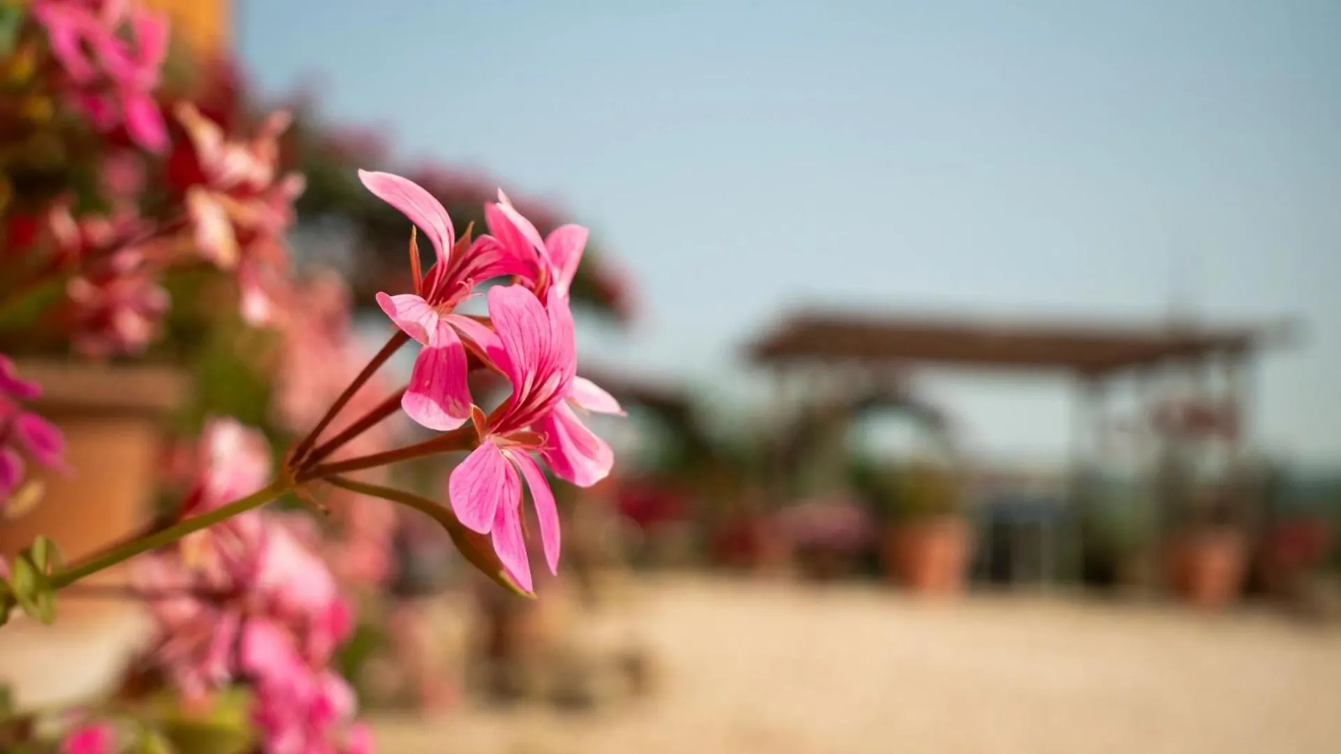B&B Aesis La Dolce Collina Iesi Italy