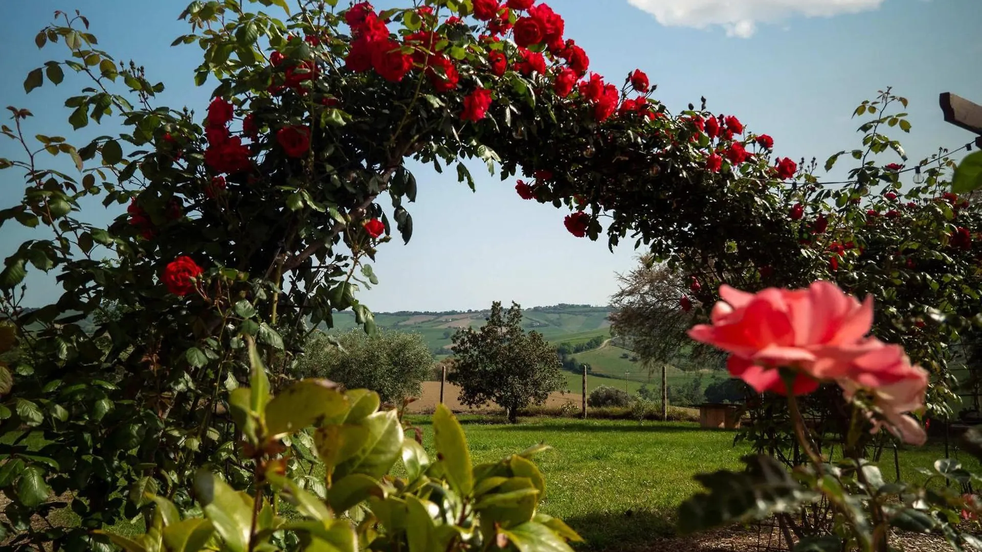 B&B Aesis La Dolce Collina Iesi Country house