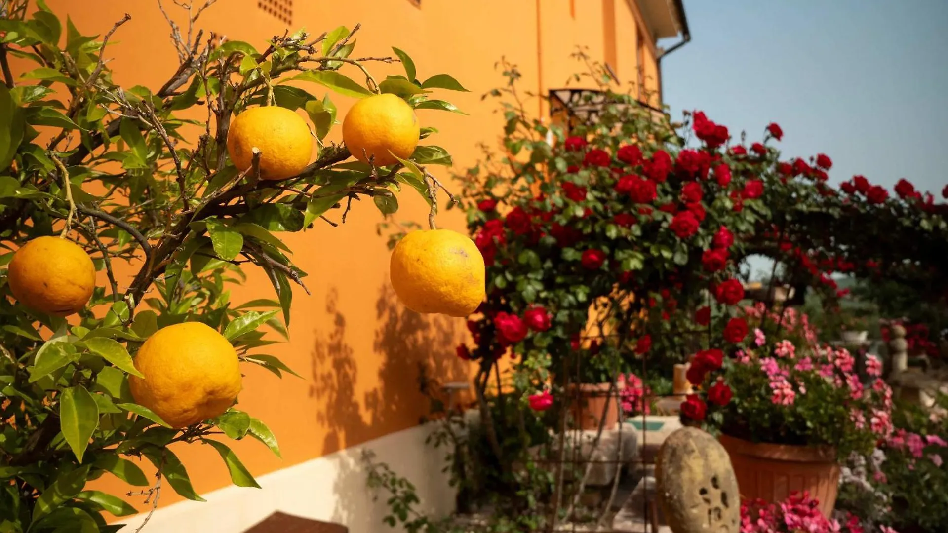 Country house B&B Aesis La Dolce Collina Iesi