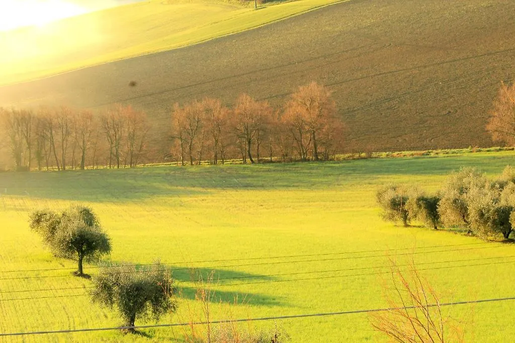 B&B Aesis La Dolce Collina Iesi